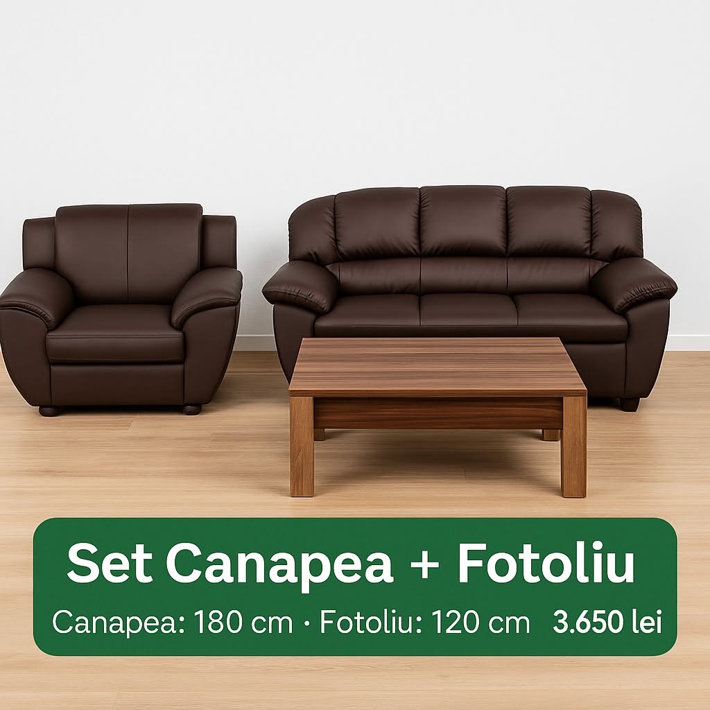 Set canapea și fotoliu maro — imagine de prezentare